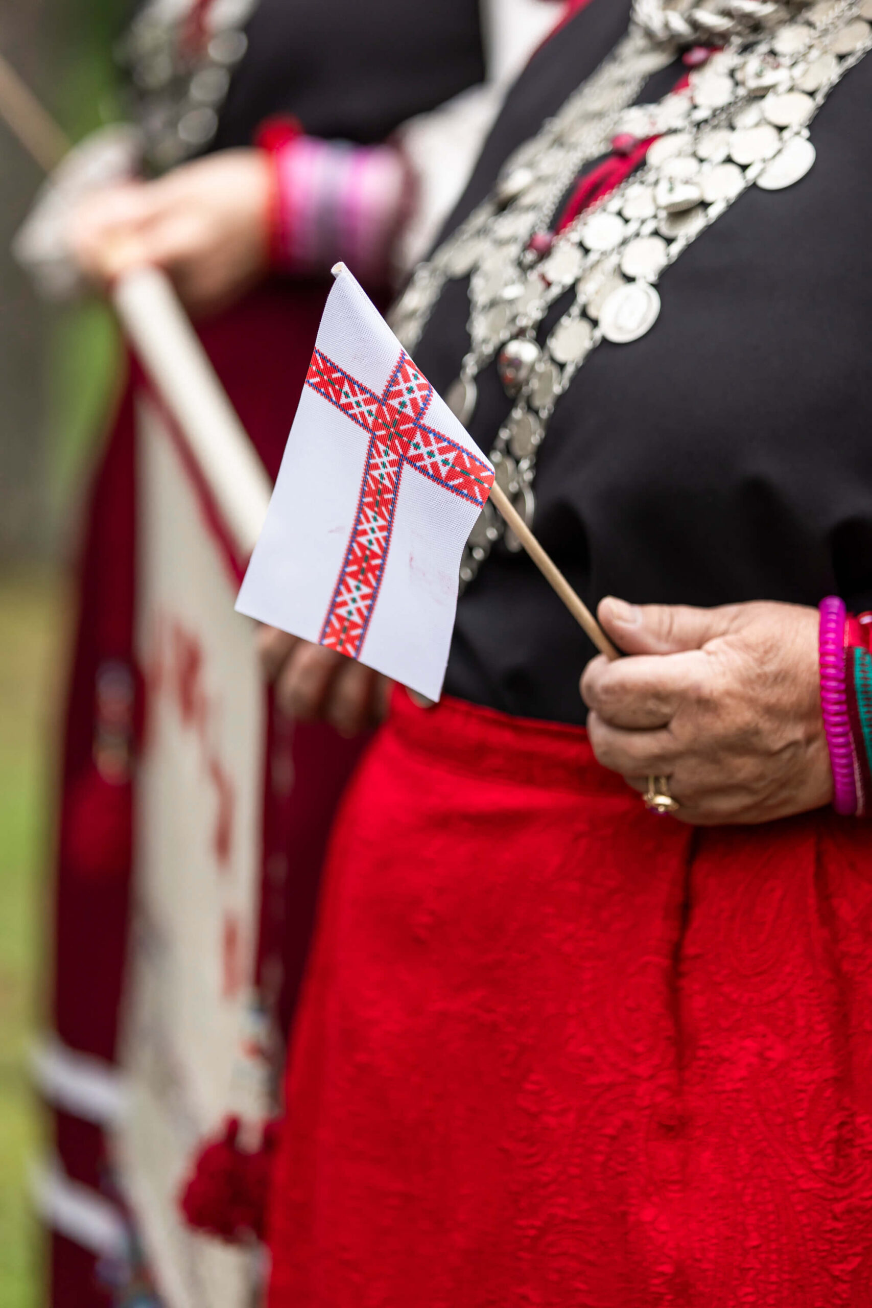 xvii leelopäev 2025 foto reigo teervalt (28)